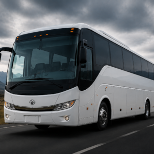 BUSES